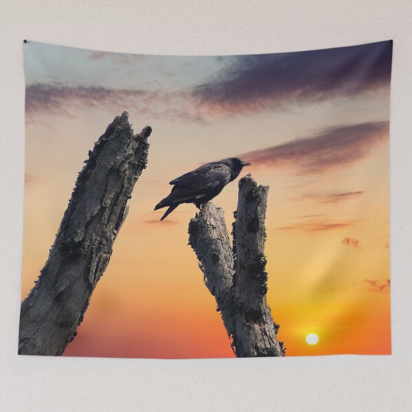 Item preview, Crow at Sunrise designed and sold by Frankie Cat Photography.