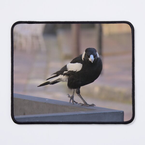 Item preview, The Fierce Magpie designed and sold by Cissa King Photography.