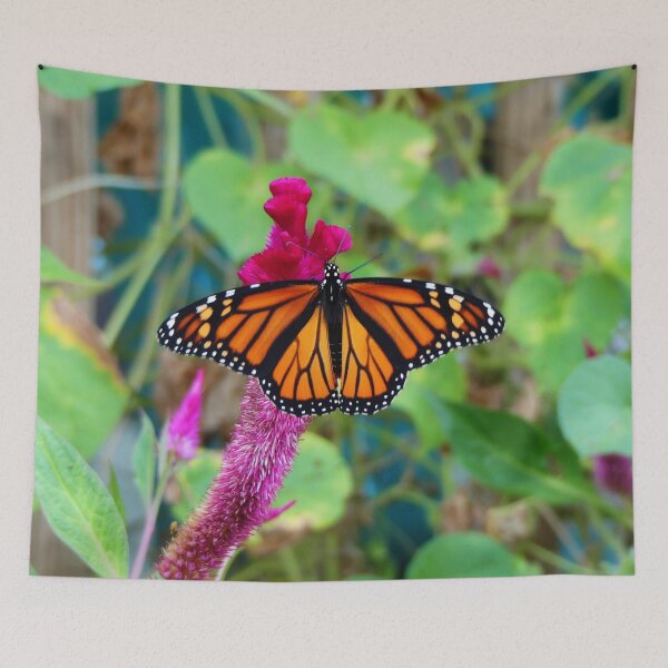 Item preview, Monarch Butterfly designed and sold by Frankie Cat Photography.