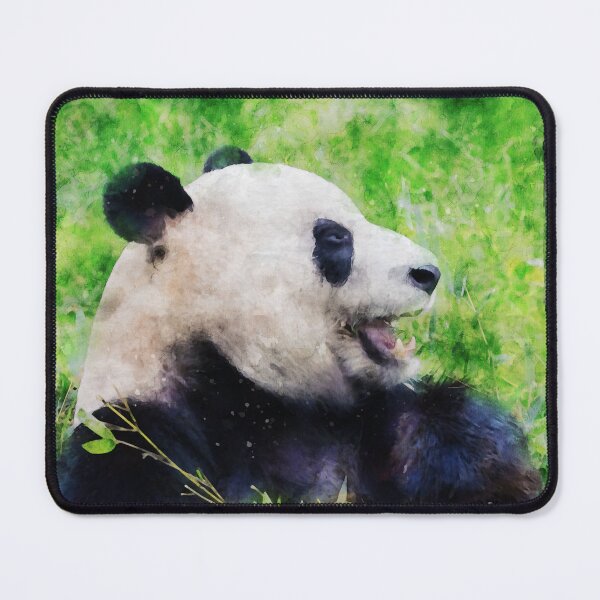 Item preview, Giant panda bear eats bamboo designed and sold by Dolfilms.