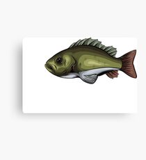 Fish Fingers Canvas Print