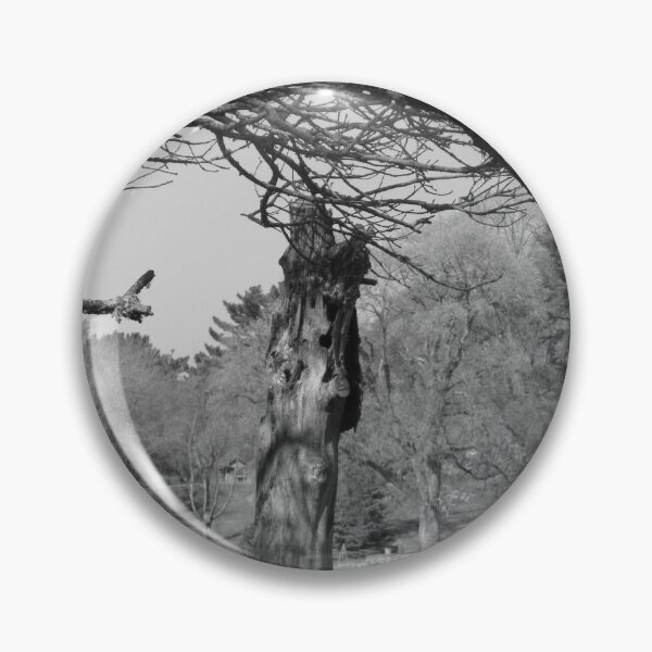 Item preview, Tree Stump In The Park - Monochrome designed and sold by lezvee.