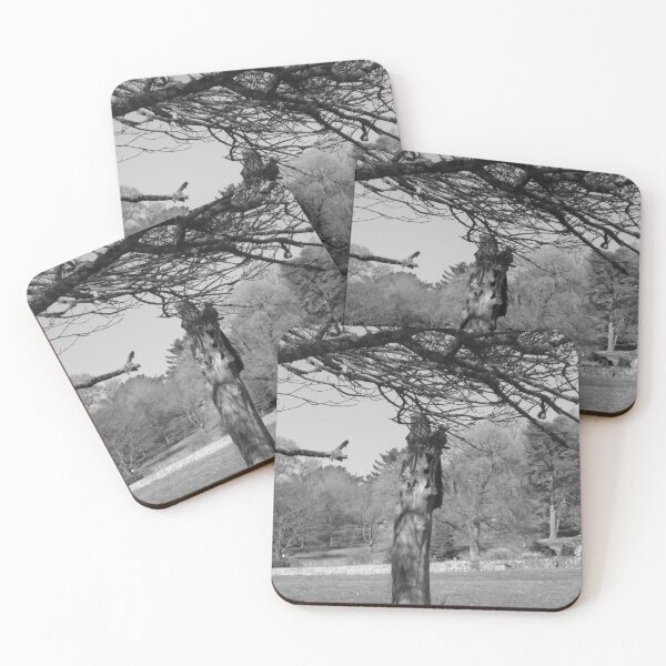 Item preview, Tree Stump In The Park - Monochrome designed and sold by lezvee.