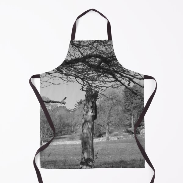 Item preview, Tree Stump In The Park - Monochrome designed and sold by lezvee.
