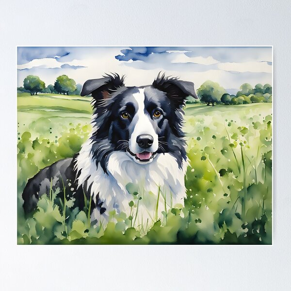 Border Collie II - Dogs and Pets Portraits Poster