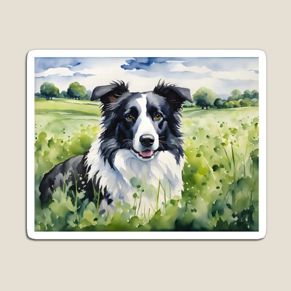 Border Collie II - Dogs and Pets Portraits Magnet