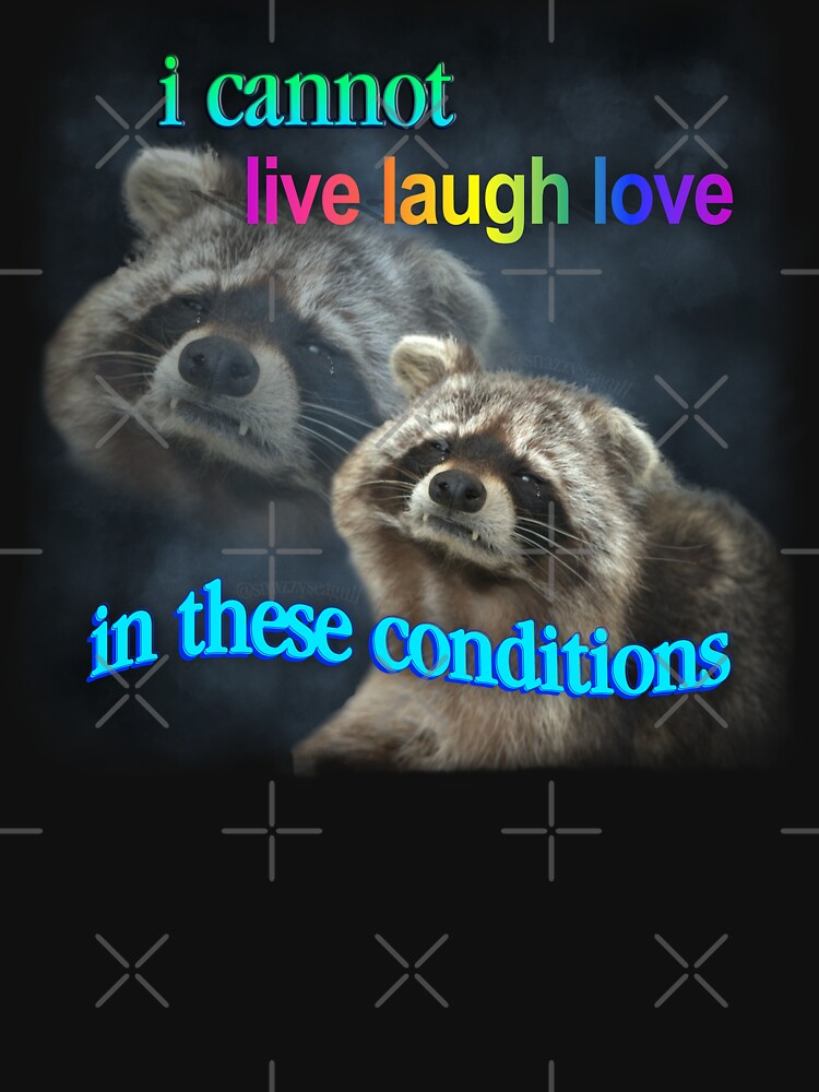 I cannot live laugh love in these conditions sad raccoon word