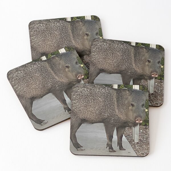 Item preview, Javelina designed and sold by pinkyjainpan.