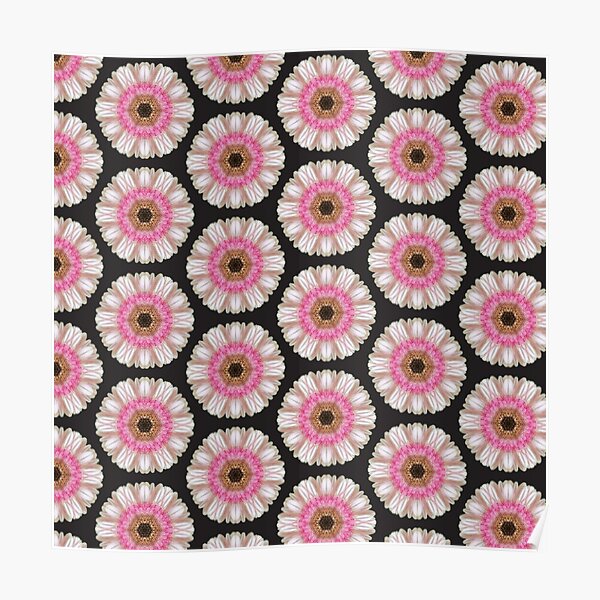 Pink gerbera on black Poster