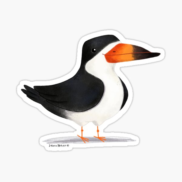 Item preview, Black Skimmer designed and sold by julianamotzko.