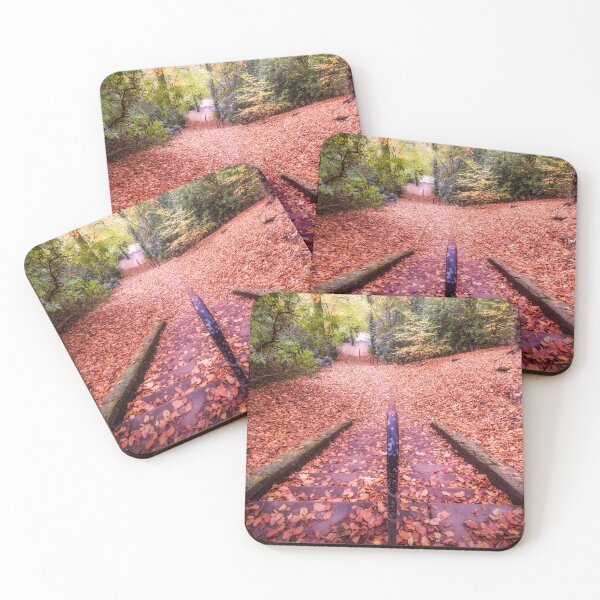 Item preview, Autumn Leaves Covering Stone Steps at Corporation Park, Blackburn designed and sold by Shafiq Khan.