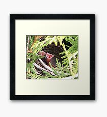 Show me the Way to go Home, Im tired and I want to go to Bed..I had a lil Drink about and Hour ago and it went right to My Head... Framed Print