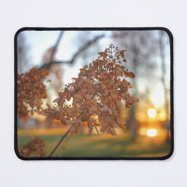Item preview, Sunset in Autumn designed and sold by Alelmisira.
