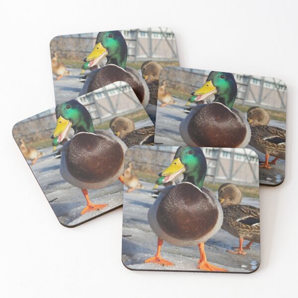 Item preview, Colorful male mallard designed and sold by Alelmisira.