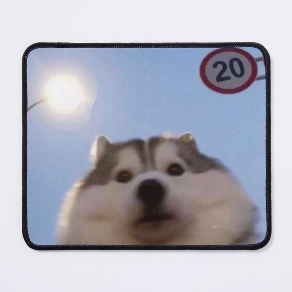Item preview, Dog Meme Funny 20 sticker designed and sold by maybellarke.