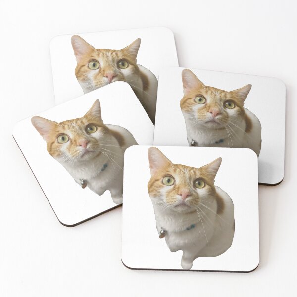 Item preview, Orange Cat Staring at You Cat Called Pumpkin  designed and sold by PumpkinsMomb.