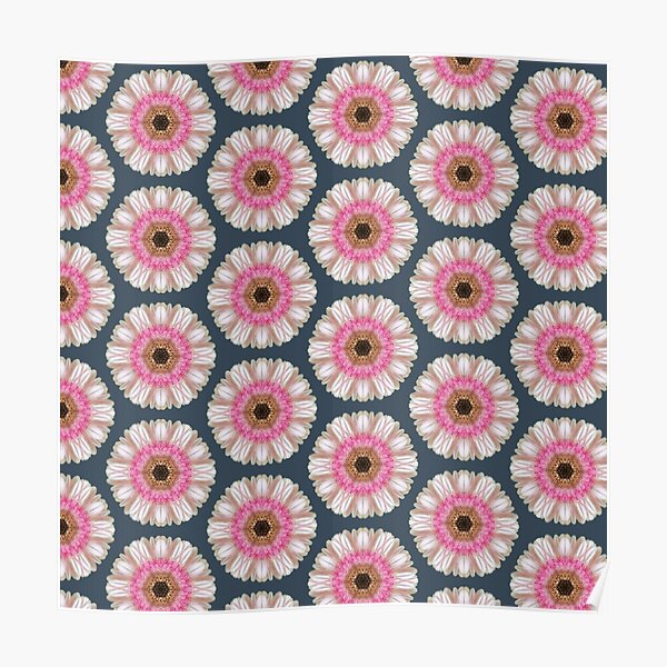 Pink gerbera on navy Poster