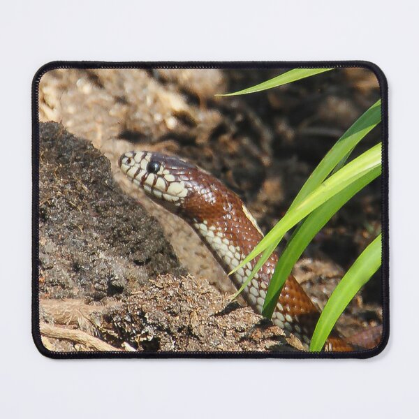 Item preview, Watch Out! Here I Come! designed and sold by heatherfriedman.