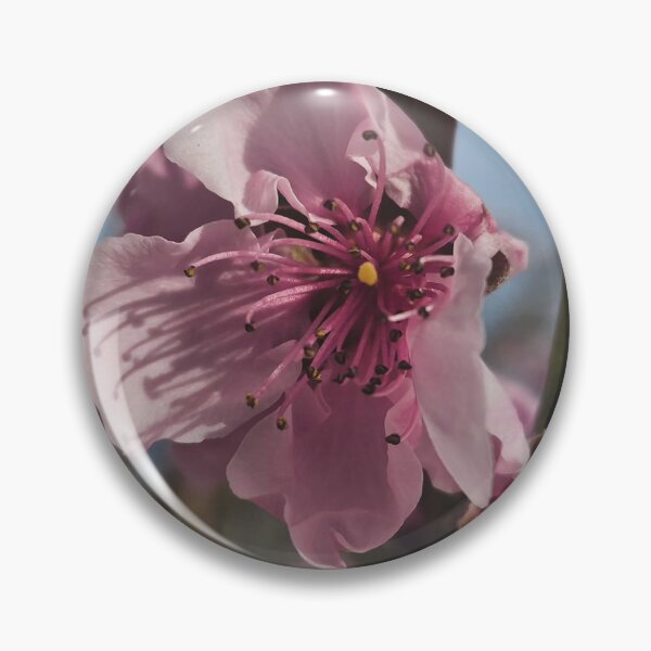 Item preview, Bloom designed and sold by Patchouli-GR.