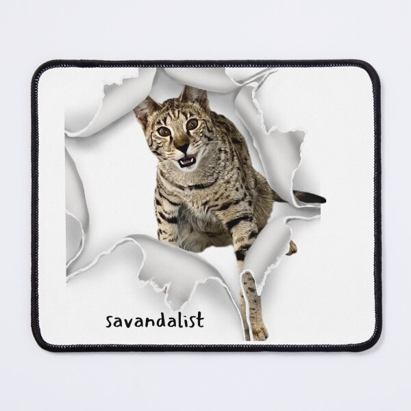 Item preview, Savannah Cat Savandalist Humor designed and sold by Savannahheightz.