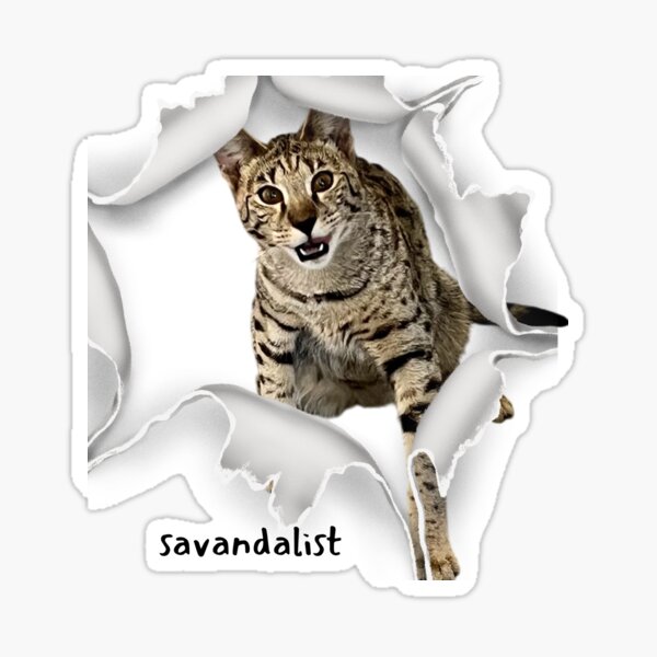 Artikel-Vorschau von Savannah Cat Savandalist Humor, designt und verkauft von Savannahheightz.