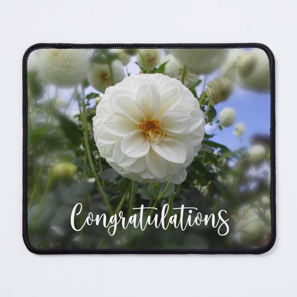 Item preview, White Dahlia Congratulations Card designed and sold by KeksWorkroom.
