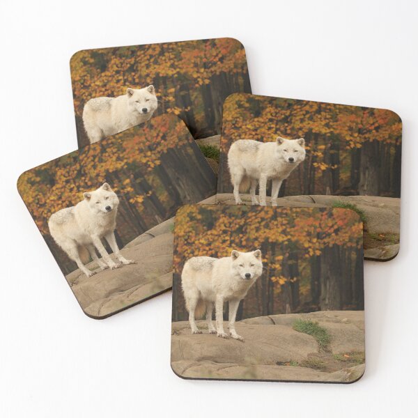 Item preview, Fall folliage Arctic Wolf designed and sold by locustgirl.