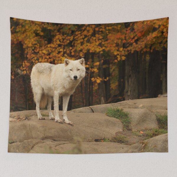 Item preview, Fall folliage Arctic Wolf designed and sold by locustgirl.