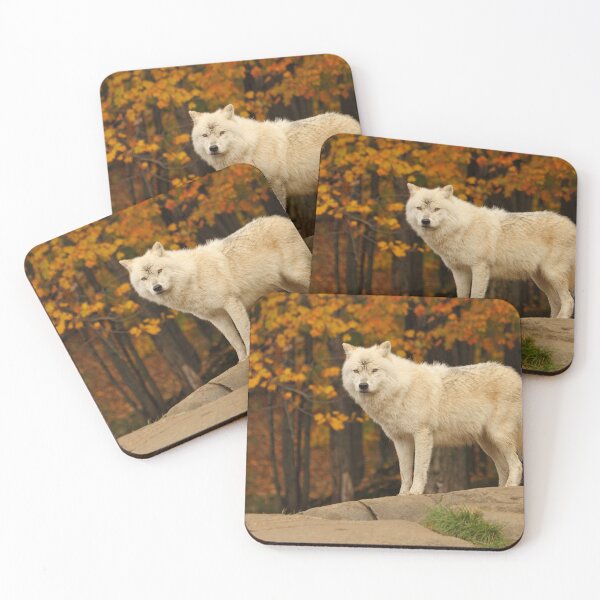 Item preview, Autumn Arctic wolf designed and sold by locustgirl.
