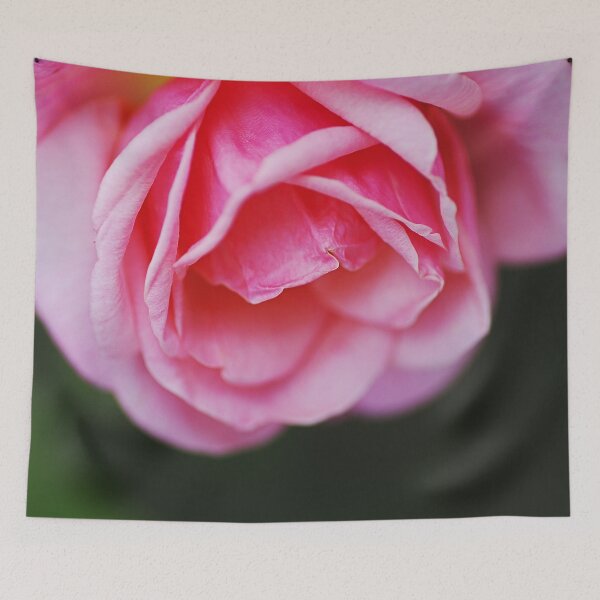 Item preview, The Draping Pink Rose designed and sold by Joy Watson - Natural Light Photography .