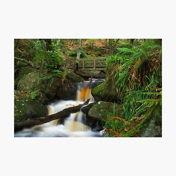 Item preview,  Padley Gorge Burbage Brook designed and sold by Alisonchambers2.