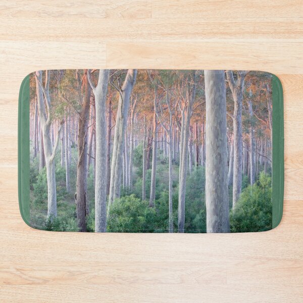 Item preview, Spotted gum forest sunrise designed and sold by Brett Thompson.