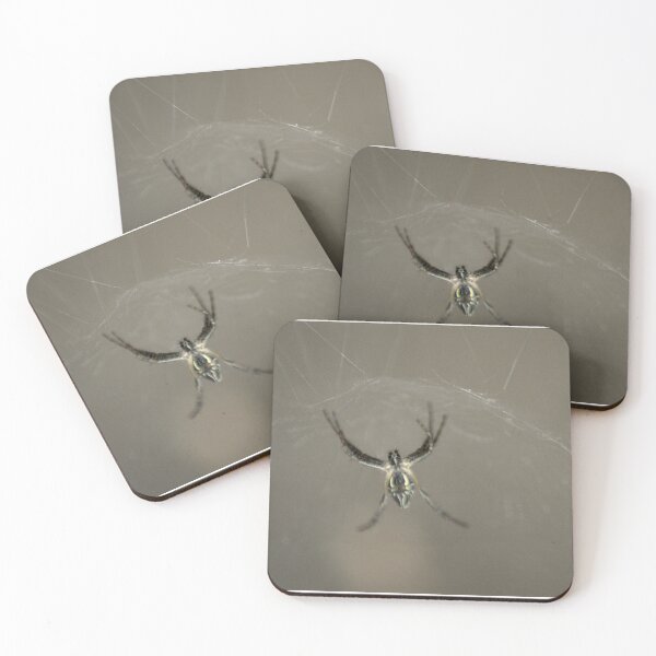 Item preview, Tent Web Spider designed and sold by lucidillusions.