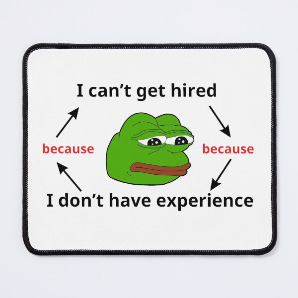 Item preview, I don't have experience 3 designed and sold by Programming Jokes.