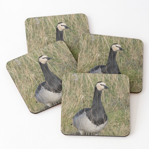 Item preview, Barnacle Goose designed and sold by LaurenTucker.
