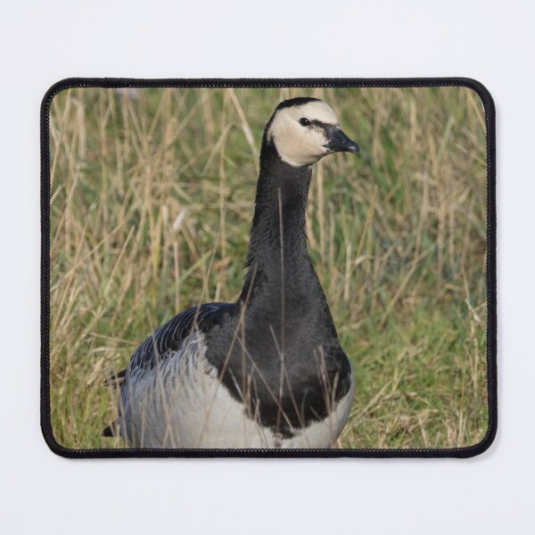 Item preview, Barnacle Goose designed and sold by LaurenTucker.