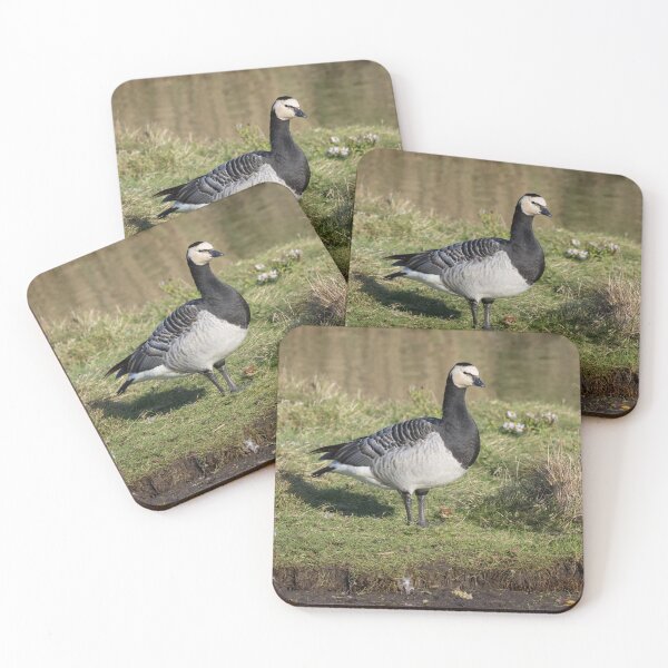 Item preview, Barnacle Goose designed and sold by LaurenTucker.