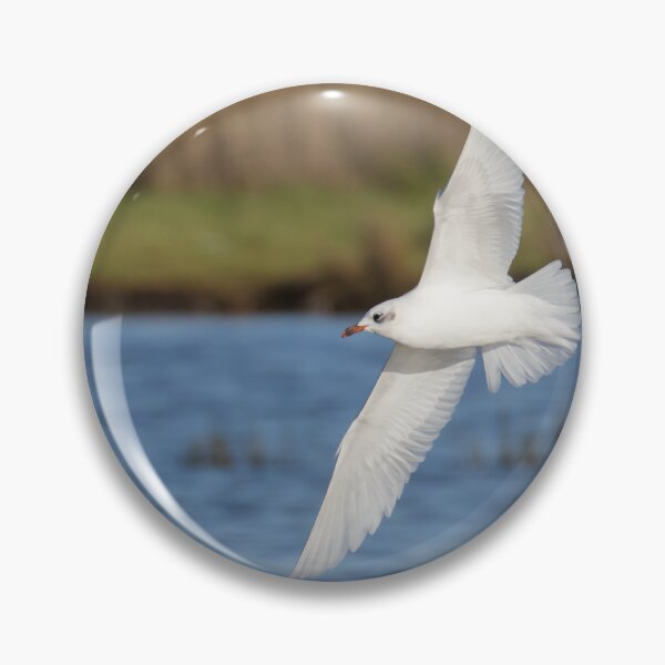 Item preview, Mediterranean Gull designed and sold by LaurenTucker.