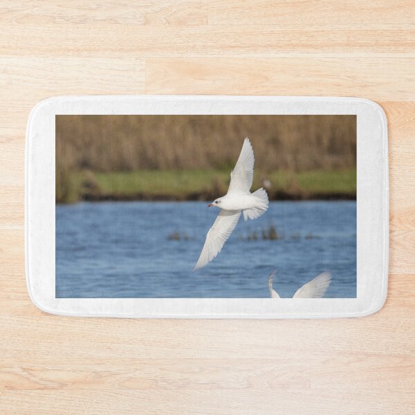 Item preview, Mediterranean Gull designed and sold by LaurenTucker.