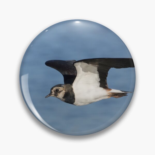 Item preview, Lapwing designed and sold by LaurenTucker.