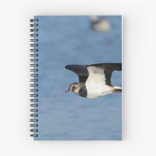 Item preview, Lapwing designed and sold by LaurenTucker.