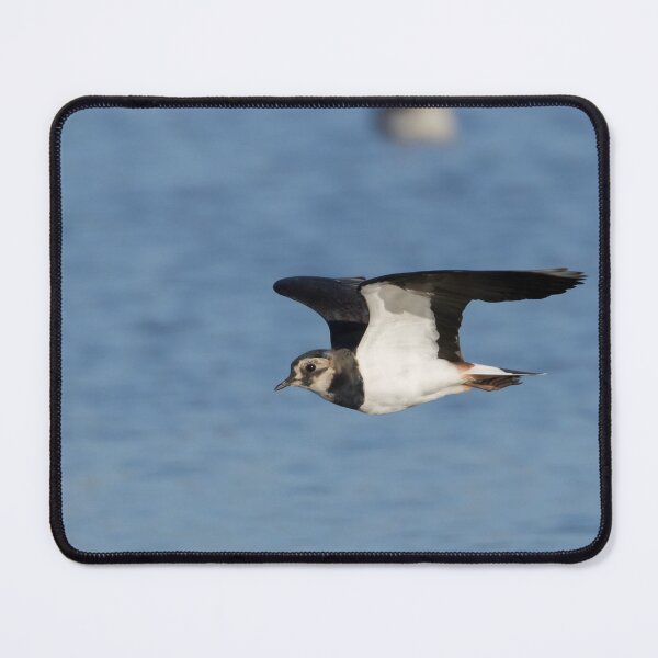 Item preview, Lapwing designed and sold by LaurenTucker.