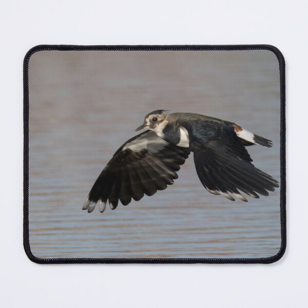 Item preview, Lapwing designed and sold by LaurenTucker.