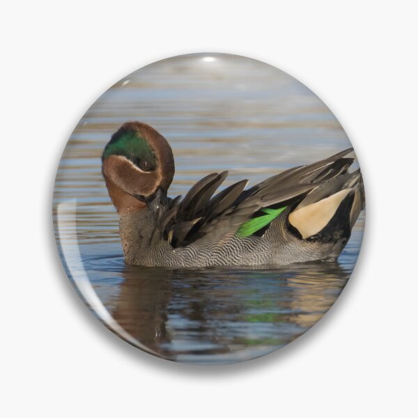 Item preview, Eurasian Teal designed and sold by LaurenTucker.