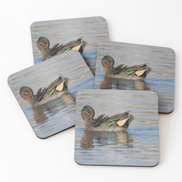Item preview, Eurasian Teal designed and sold by LaurenTucker.