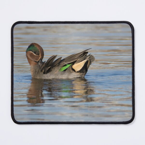Item preview, Eurasian Teal designed and sold by LaurenTucker.