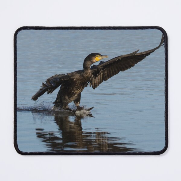 Item preview, Cormorant designed and sold by LaurenTucker.