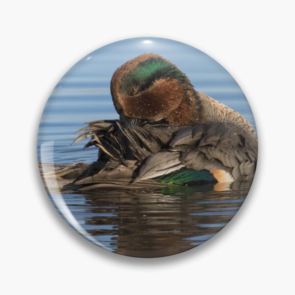 Item preview, Eurasian Teal designed and sold by LaurenTucker.