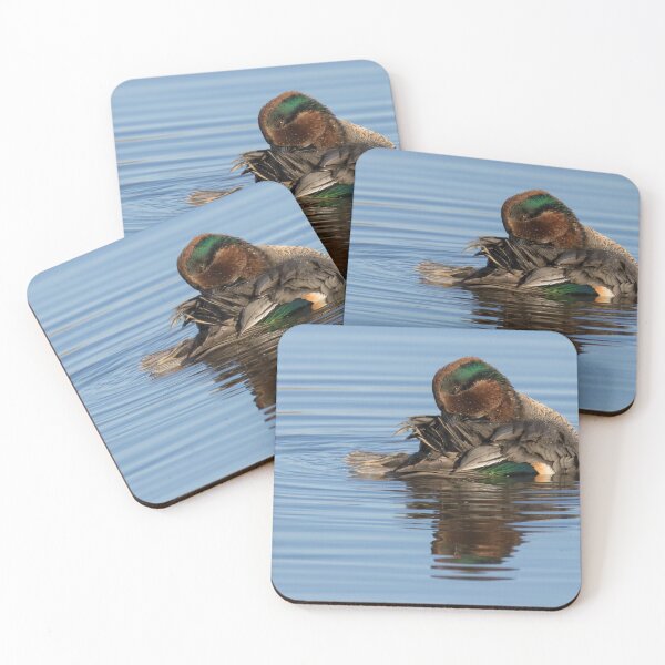Item preview, Eurasian Teal designed and sold by LaurenTucker.