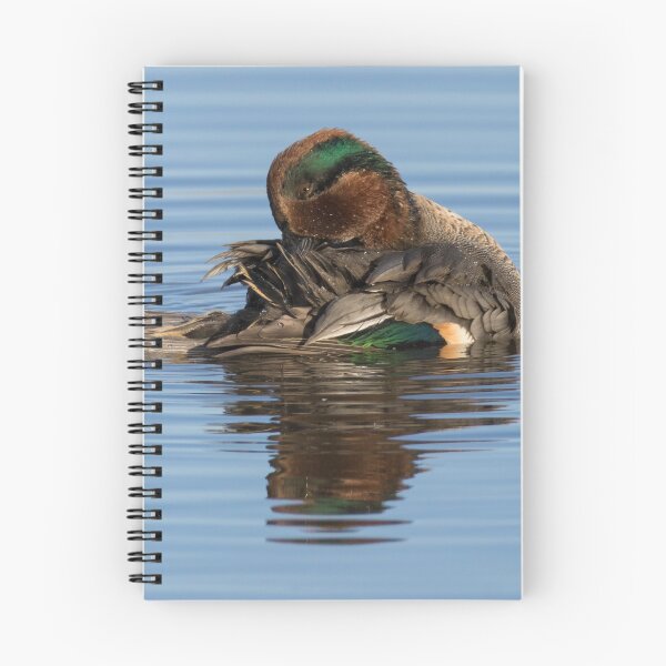 Item preview, Eurasian Teal designed and sold by LaurenTucker.